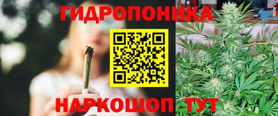 тгк Будённовск
