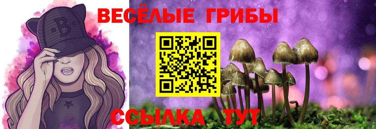 Псилоцибиновые грибы Magic Shrooms  Вход с VPN  Щёлково 