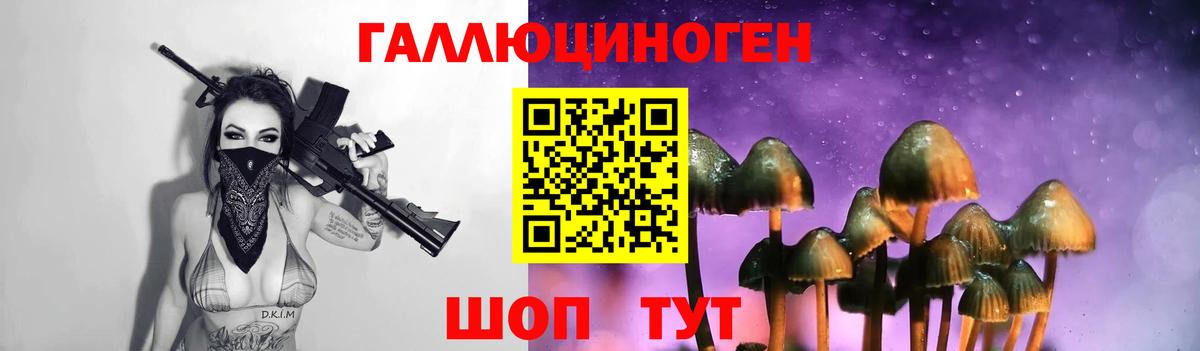 Псилоцибиновые грибы Psilocybine cubensis Щёлково